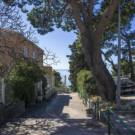 Ante Apartament